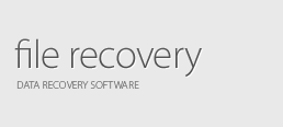 File Recovery Review
